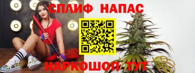 прущий лед Будённовск