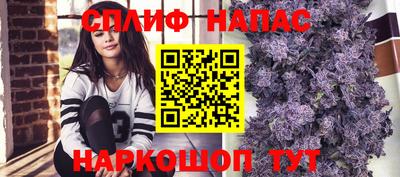прущий лед Будённовск